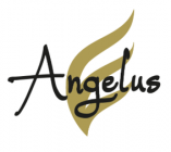 Angelus Management Beratungs und Service KG